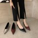 Nude women's high heels, soft leather, pointed toe, soft-soled, French-style, skirt-matching shoes with a gentle, low-heeled design.